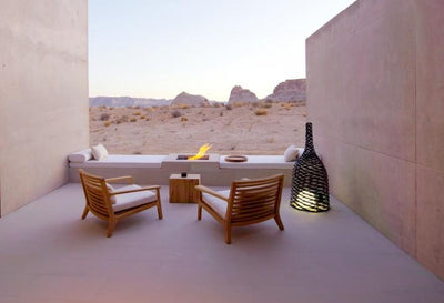 Take your little buddy to vacation: Pet-friendly hotels