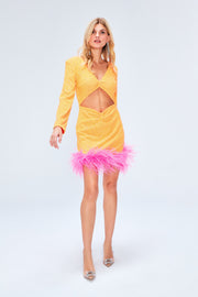 Myriam Sequin Dress With Feather Embellishment In Tangerine Sandshaped